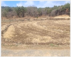  2025Ÿ��20431 �泲 �Ծȱ� ������ ������ 45      ����(����)���