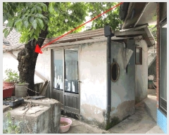  2025Ÿ��20436  ���ð��