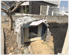  2025Ÿ��20446 �泲 �Ծȱ� ������ ���׸� 37-1      ���ð��