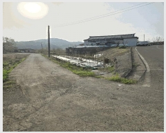  2025Ÿ��20507 �泲 �Ծȱ� ���� �򸲸� 683      ����(��1)���