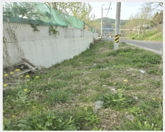  2025Ÿ��20507 �泲 �Ծȱ� ���� �򸲸� 683      ����(��1)���