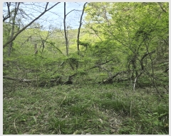  2025Ÿ��20507 �泲 �Ծȱ� ���� �򸲸� 683      ����(��1)���