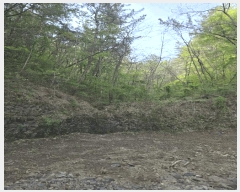  2025Ÿ��20507 �泲 �Ծȱ� ���� �򸲸� 683      ����(��1)���