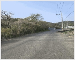  2025Ÿ��20507 �泲 �Ծȱ� ���� �򸲸� 683      ����(��1)���