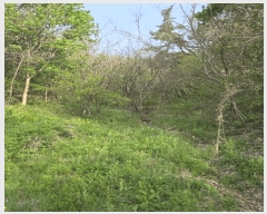  2025Ÿ��20507 �泲 �Ծȱ� ���� �򸲸� 683      ����(��1)���