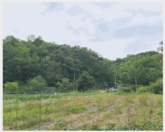  2025Ÿ��20556  �Ӿ߰��