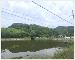  2025Ÿ��20556  �Ӿ߰��