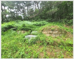  2025Ÿ��20556  �Ӿ߰��