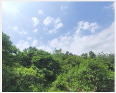  2025Ÿ��20556  �Ӿ߰��