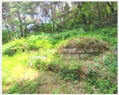  2025Ÿ��20556  �Ӿ߰��