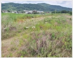  2025Ÿ��20692  ����