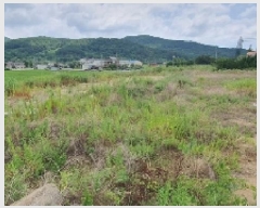  2025Ÿ��20692  ����