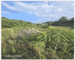  2025Ÿ��20714 �泲 �Ծȱ� ĥ���� ��ġ�� 957-2      ����(��)���