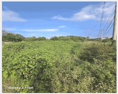  2025Ÿ��20714 �泲 �Ծȱ� ĥ���� ��ġ�� 957-2      ����(��)���