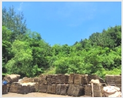  2025Ÿ��20720 �泲 �Ծȱ� ���ϸ� ������ 872      ����(��1)���