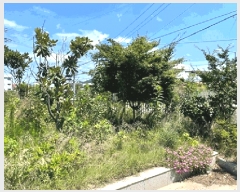  2025Ÿ��20749 �泲 �Ծȱ� ���ϸ� �絵�� 1329      ������