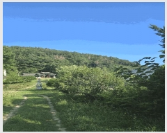  2025Ÿ��20773 �泲 â���� ���������� ���ϸ� ���̸� ��47     ����(�Ӿ�)���