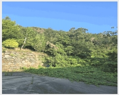  2025Ÿ��20773 �泲 â���� ���������� ���ϸ� ���̸� ��47     ����(�Ӿ�)���