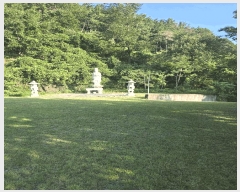  2025Ÿ��20773 �泲 â���� ���������� ���ϸ� ���̸� ��47     ����(�Ӿ�)���