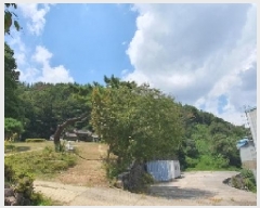  2025Ÿ��20773 �泲 â���� ���������� ���ϸ� ���̸� ��47     ����(�Ӿ�)���