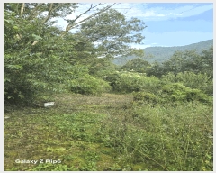  2025Ÿ��20788 �泲 â���� ���������� �θ��� 83-18 �����������Ͽ콺 10��1002ȣ    ���ǽ��ڰ��