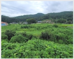  2025Ÿ��20831 �泲 �Ծȱ� ���ϸ� ��� 31-4      ����(��)���