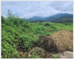  2025Ÿ��20831 �泲 �Ծȱ� ���ϸ� ��� 31-4      ����(��)���