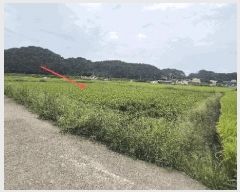  2025Ÿ��20868 �泲 �Ծȱ� ���ϸ� �߾ϸ� 825-6      ����(��)���