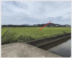  2025Ÿ��20868 �泲 �Ծȱ� ���ϸ� �߾ϸ� 825-6      ����(��)���