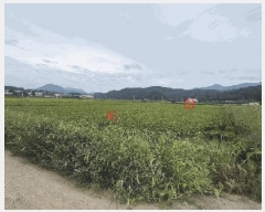  2025Ÿ��20868 �泲 �Ծȱ� ���ϸ� �߾ϸ� 825-6      ����(��)���