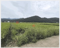  2025Ÿ��20868 �泲 �Ծȱ� ���ϸ� �߾ϸ� 825-6      ����(��)���