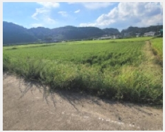  2025Ÿ��20868 �泲 �Ծȱ� ���ϸ� �߾ϸ� 825-6      ����(��)���