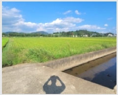  2025Ÿ��20868 �泲 �Ծȱ� ���ϸ� �߾ϸ� 825-6      ����(��)���