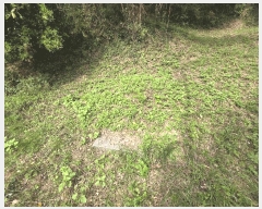  2025Ÿ��20892 �泲 �Ծȱ� ĥ���� ������ 369      ����(����)���