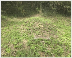  2025Ÿ��20892 �泲 �Ծȱ� ĥ���� ������ 369      ����(����)���