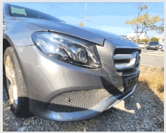  2025Ÿ��20897 â���� ���������� ������ 619       �������