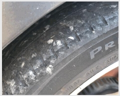  2025Ÿ��20897 â���� ���������� ������ 619       �������