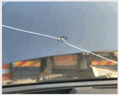  2025Ÿ��20897 â���� ���������� ������ 619       �������