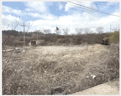  2025Ÿ998  ֽ   126-10      ()