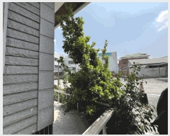  2025Ÿ��1885 ���� ���ֽ� ���ϵ� 216       ���ð��