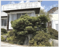  2025Ÿ��1885 ���� ���ֽ� ���ϵ� 216       ���ð��