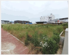  2025Ÿ��3560 ���� ���걸 ���굿 1226       ����(����)���