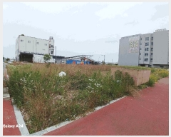  2025Ÿ��3560 ���� ���걸 ���굿 1226       ����(����)���