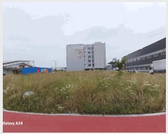  2025Ÿ��3560 ���� ���걸 ���굿 1226       ����(����)���