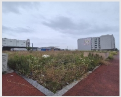  2025Ÿ��3560 ���� ���걸 ���굿 1226       ����(����)���