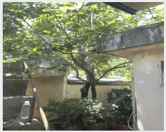  2025Ÿ��4877 ���� �ϱ� ���ﵿ 70-3       ���ð��