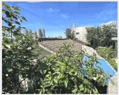  2025Ÿ��4877 ���� �ϱ� ���ﵿ 70-3       ���ð��