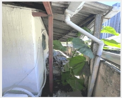  2025Ÿ��4877 ���� �ϱ� ���ﵿ 70-3       ���ð��