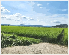  2025Ÿ��5375  ����