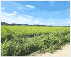  2025Ÿ��5375  ����